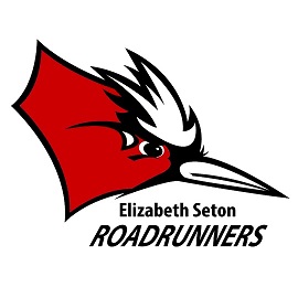 Elizabeth Seton is looking to hire a new Head Volleyball Coach